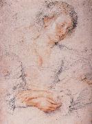 Peter Paul Rubens The Girl